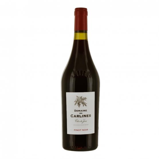 Pinot Noir 2023 Rouge