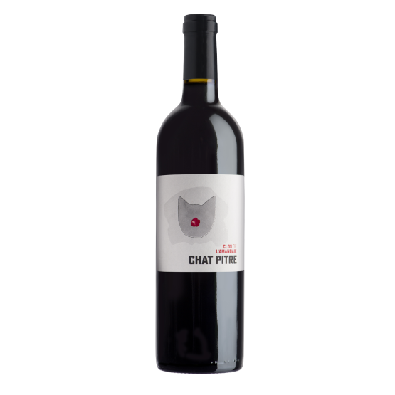 Chat Pitre Rouge 2024